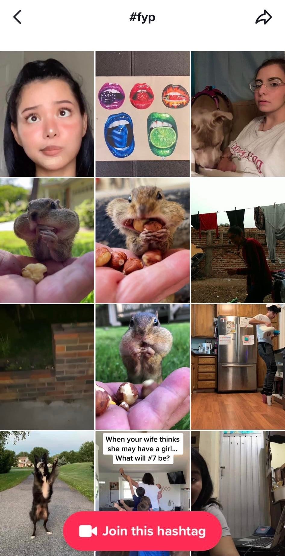 Trending hashtags on TikTok SocialWick