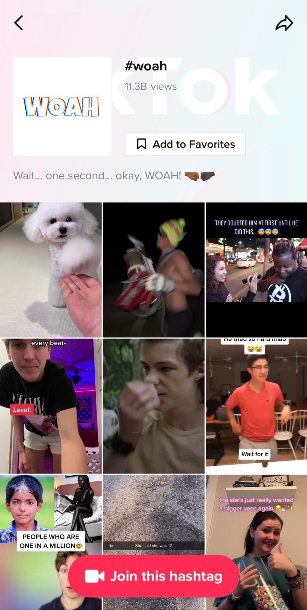 TikTok Dance Trends right now SocialWick